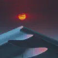 备考日志 · 每周六更新